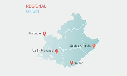 REGIONAL ORIGIN